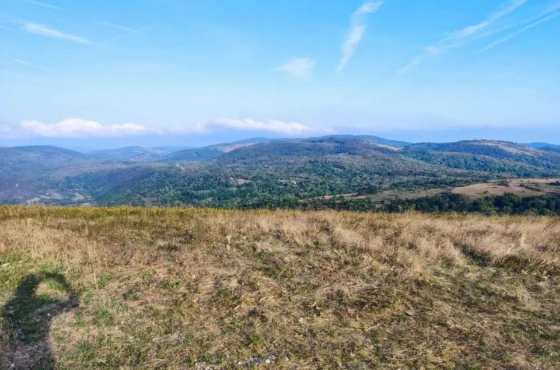 Западни Карпати